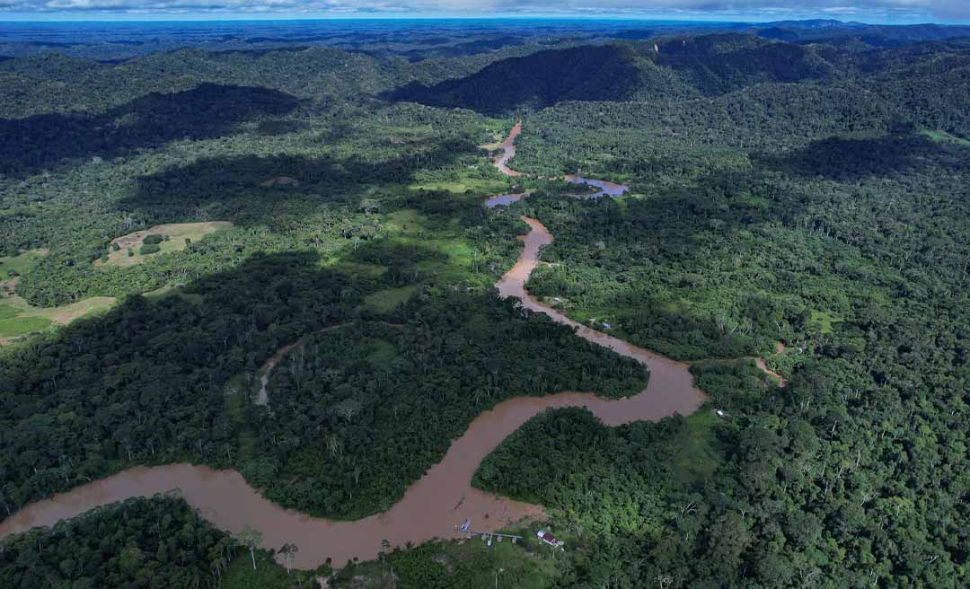 Conselho que vai tratar da criação da Floresta Estadual do Afluente do Complexo do Seringal Jurupari é instituído