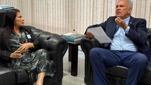 Deputada Antonia Sales defende volta de voos entre Acre e Ucayali em agenda em Brasília