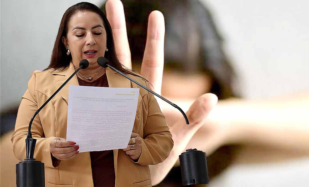 Vereadora Elzinha Mendonça apresenta Projeto de Lei que cria o programa Projovem Negro em Rio Branco