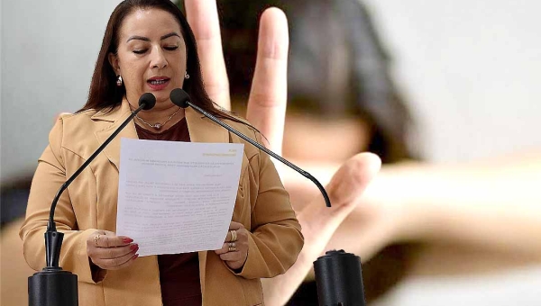 Vereadora Elzinha Mendonça apresenta Projeto de Lei que cria o programa Projovem Negro em Rio Branco