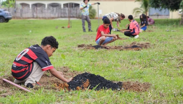 Núcleo de Cidadania de Adolescentes do Quinari realiza plantio de mudas em apoio à campanha do Selo UNICEF
