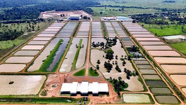 Complexo Industrial Peixes da Amazônia é vendido por R$ 13,1 milhões em 24 parcelas