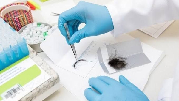 Congresso retoma exigência de exame toxicológico para primeira CNH nas categorias A e B