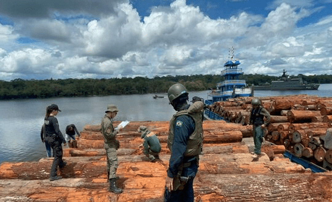 Boca do Acre lidera na exploração ilegal de madeira, no Amazonas, mostra Imazon