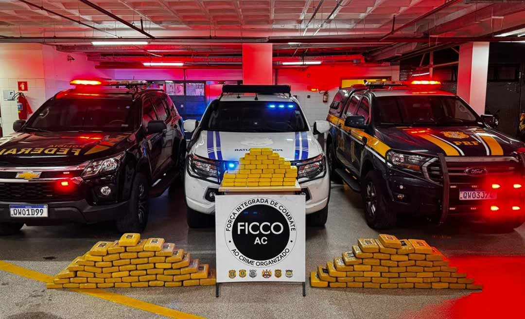 Força Integrada de Combate ao Crime Organizado aprende mais de meia tonelada de cocaína em maconha em 2025