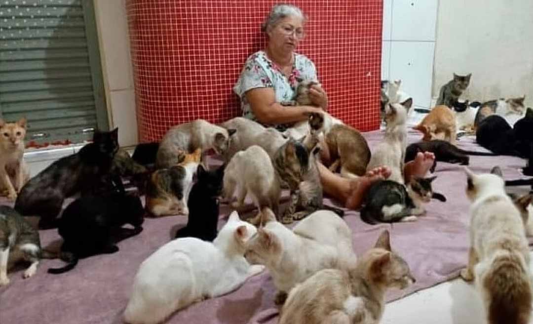 Protetora pede ajuda para pagar aluguel e manter abrigo com 138 animais, entre cães e gatos, em Rio Branco