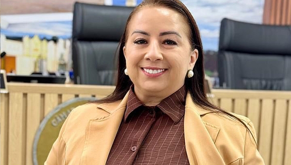 Vereadora Elzinha Mendonça vê como positivo o primeiro ano legislativo e afirma que compromisso para 2026 será com a população