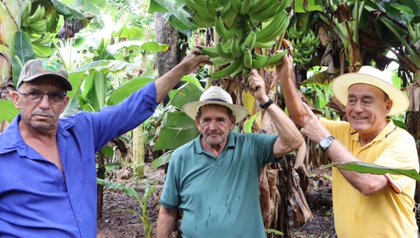 Apoio ao homem do campo vira trunfo político de Bocalom em visita à maior plantação de banana do Acre