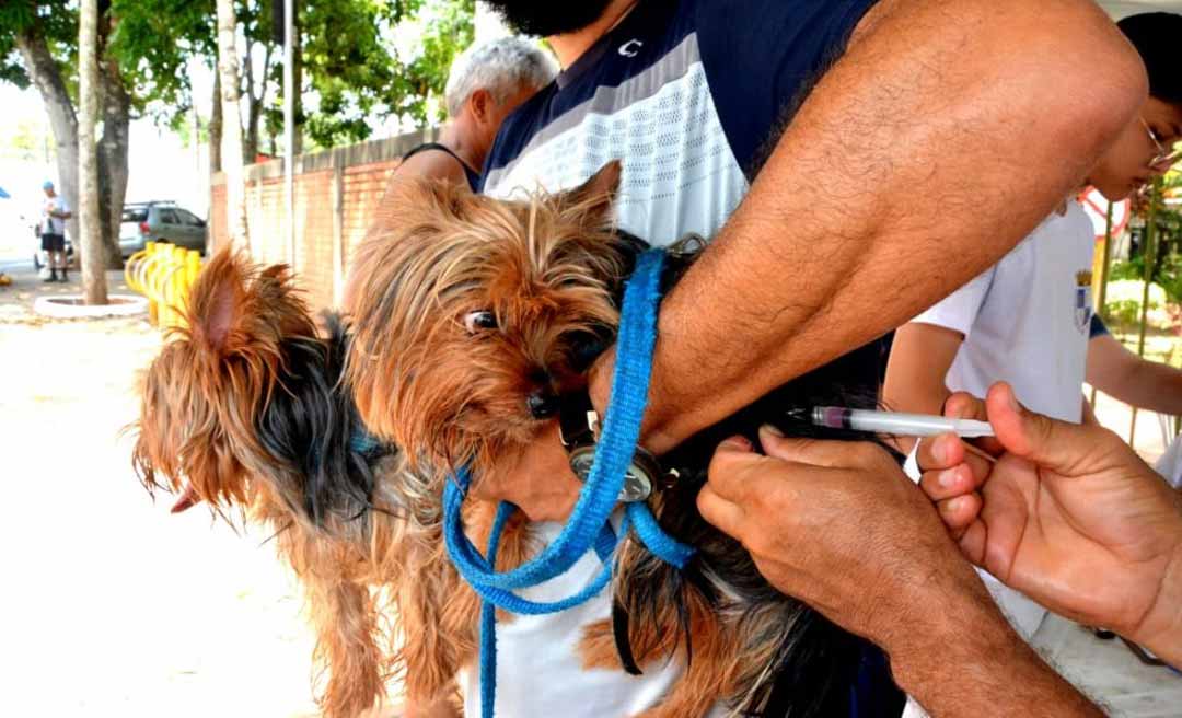 Prefeitura de Rio Branco promove Feira de Adoção de Pets com vacinação antirrábica gratuita