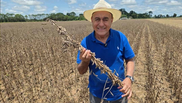 Durante agenda política no Alto Acre, Bocalom visita plantio de soja no município de Brasileia