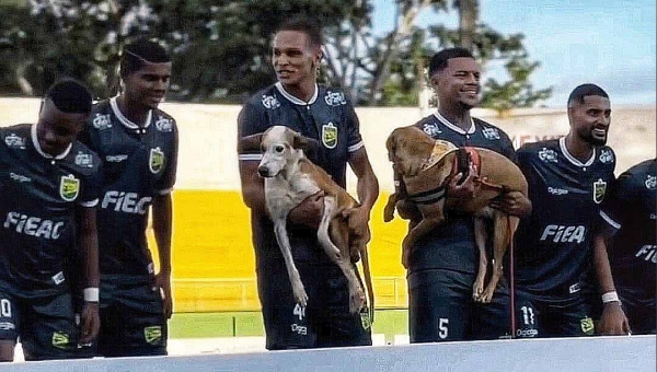 Cães resgatados ganham visibilidade em ação do Galvez durante rodada do Campeonato Acreano