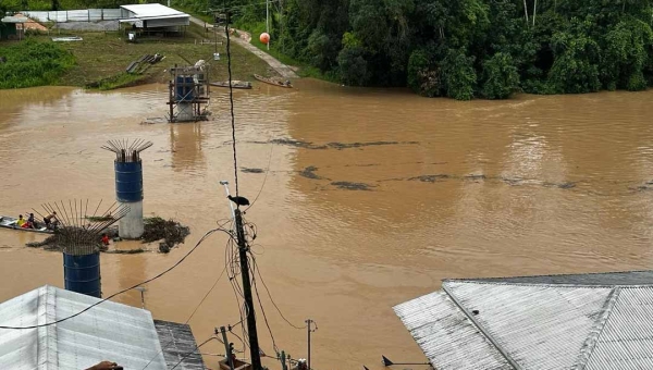 Balseiros são retirados dos pilares da passarela sobre o Rio Amônia, em Marechal Thaumaturgo