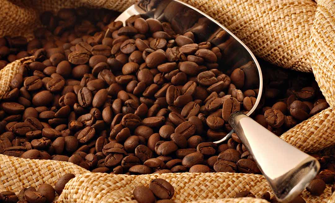 Ministério da Agricultura cria marca institucional “Funcafé” para dar mais transparência a ações financiadas pelo fundo cafeeiro