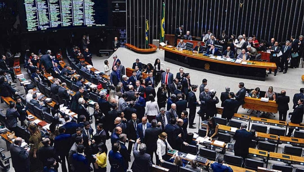 Dez organizações da sociedade civil pedem veto à criação da licença indenizatória no Legislativo