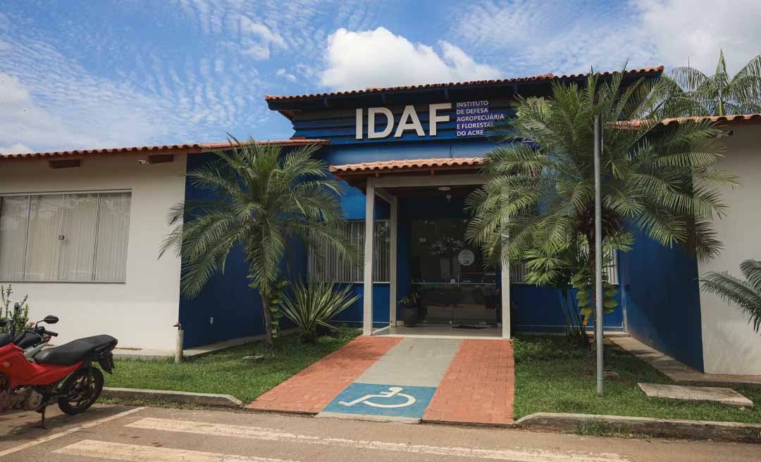 Cadastro de reserva do concurso do Idaf faz apelo a Gladson: ‘seria injusto com a gente deixar o prazo vencer’