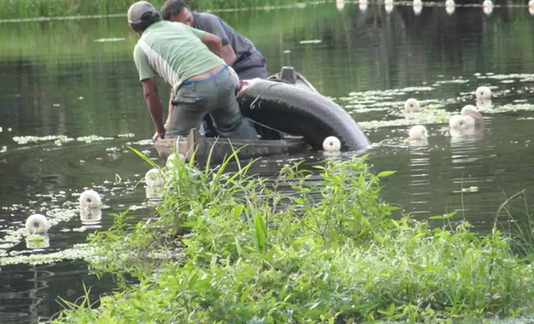 Sem entregar relatório no prazo, mais 8 mil pescadores do Acre ficam de fora do pagamento do primeiro lote do seguro-defeso; apenas 150 vão receber