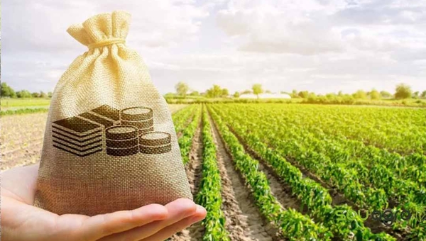 Cerca de R$ 1 bilhão foi investido no campo no Acre em 2025 por meio do Plano Safra, mostra governo