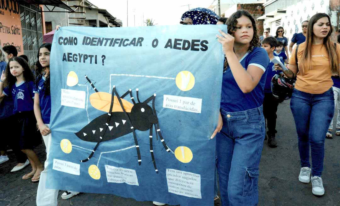 TODOS CONTRA O MOSQUITO Image