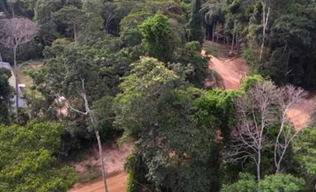 Câmara Cível mantém decisão que determina medidas de proteção à Floresta Estadual do Antimary