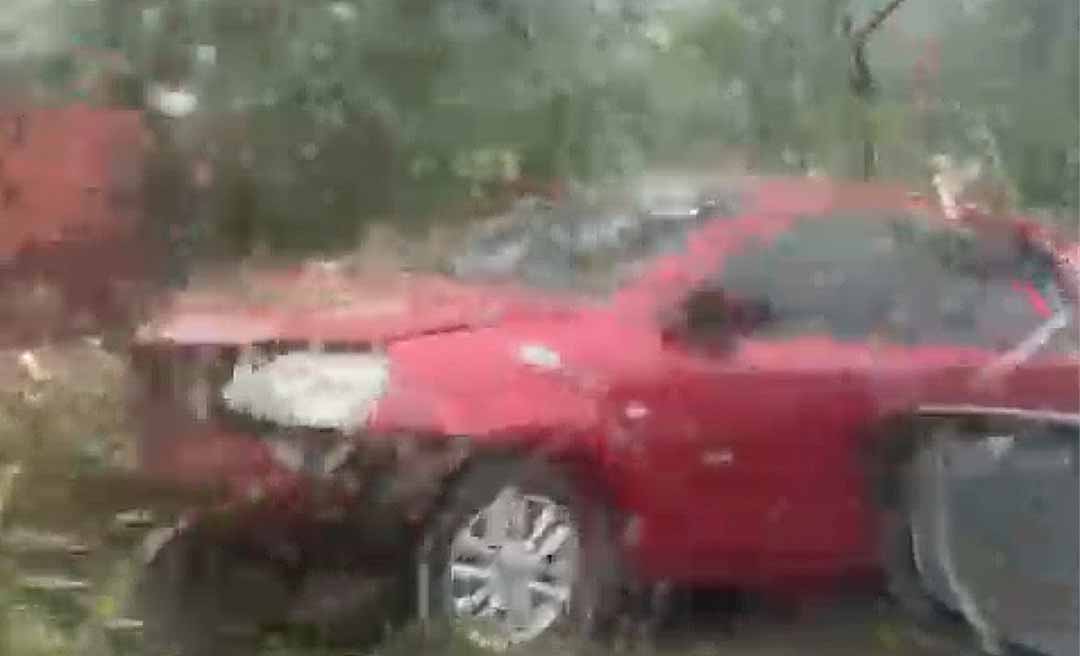 Árvore cai sobre carro na Estrada das Placas e deixa acesso parcialmente interditado durante a chuva