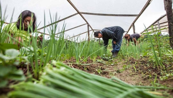 Sem produção suficiente, Acre não aparece em lista nacional de bônus para agricultura familiar do Pronaf