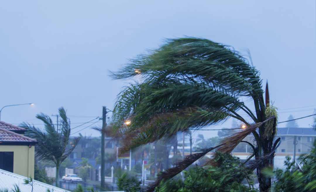 Ventos fortes causam mais de 1,6 mil ocorrências na rede elétrica em 2025 no Acre