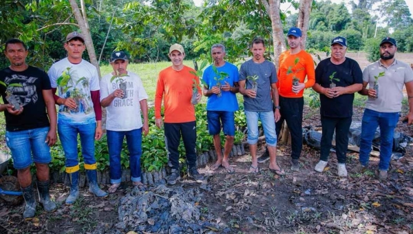 Zequinha Lima distribui 24 mil mudas de café nos rios Juruá Mirim e Valparaíso