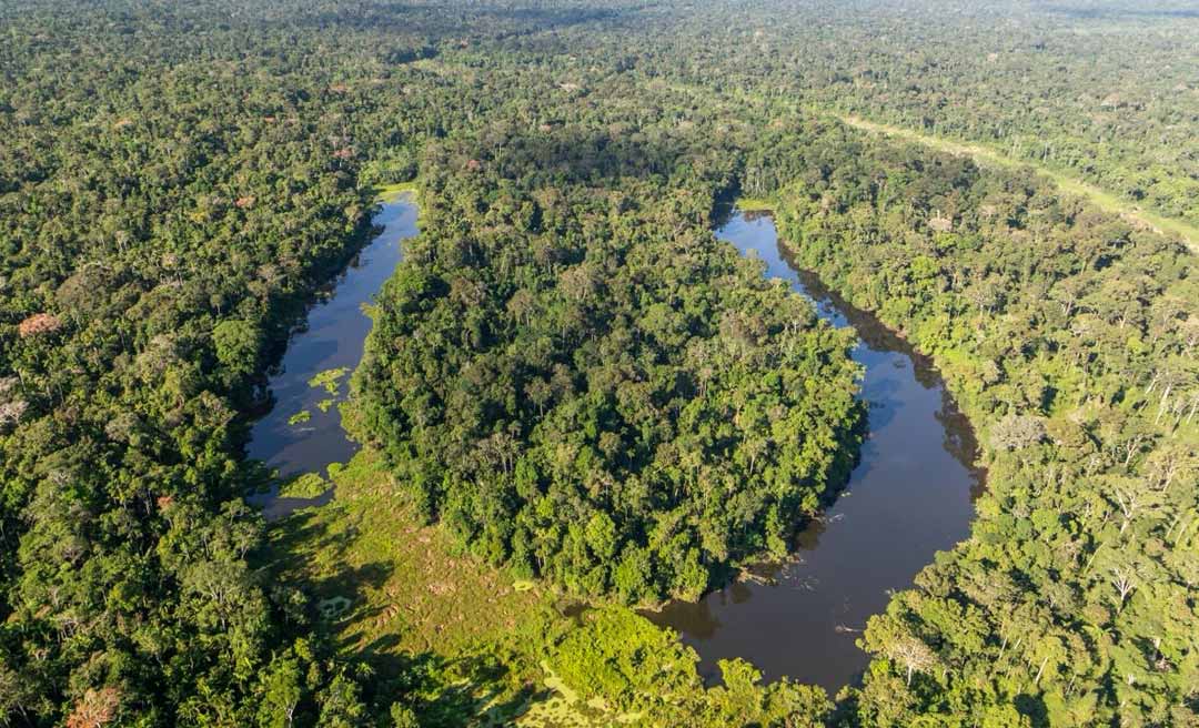 Com transparência, Acre avança para fase de verificação internacional rumo ao padrão de excelência ambiental