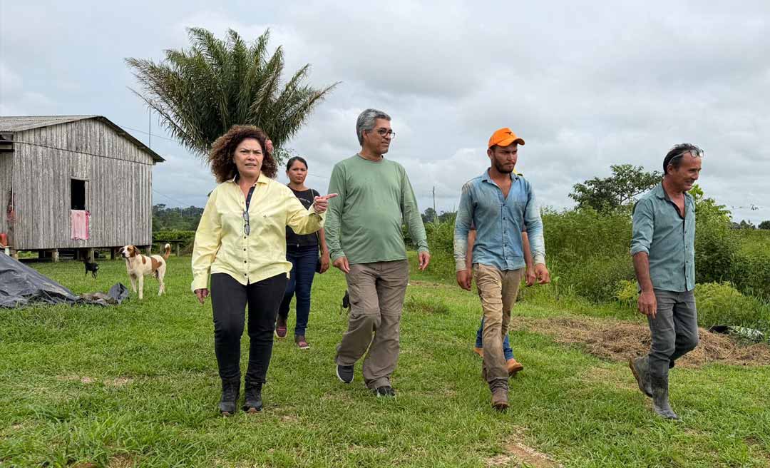 incentivo ao produtor Image