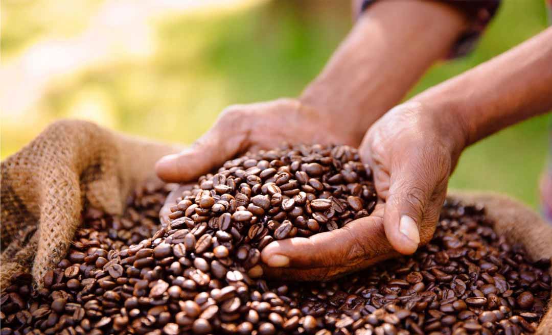 produção forte Image