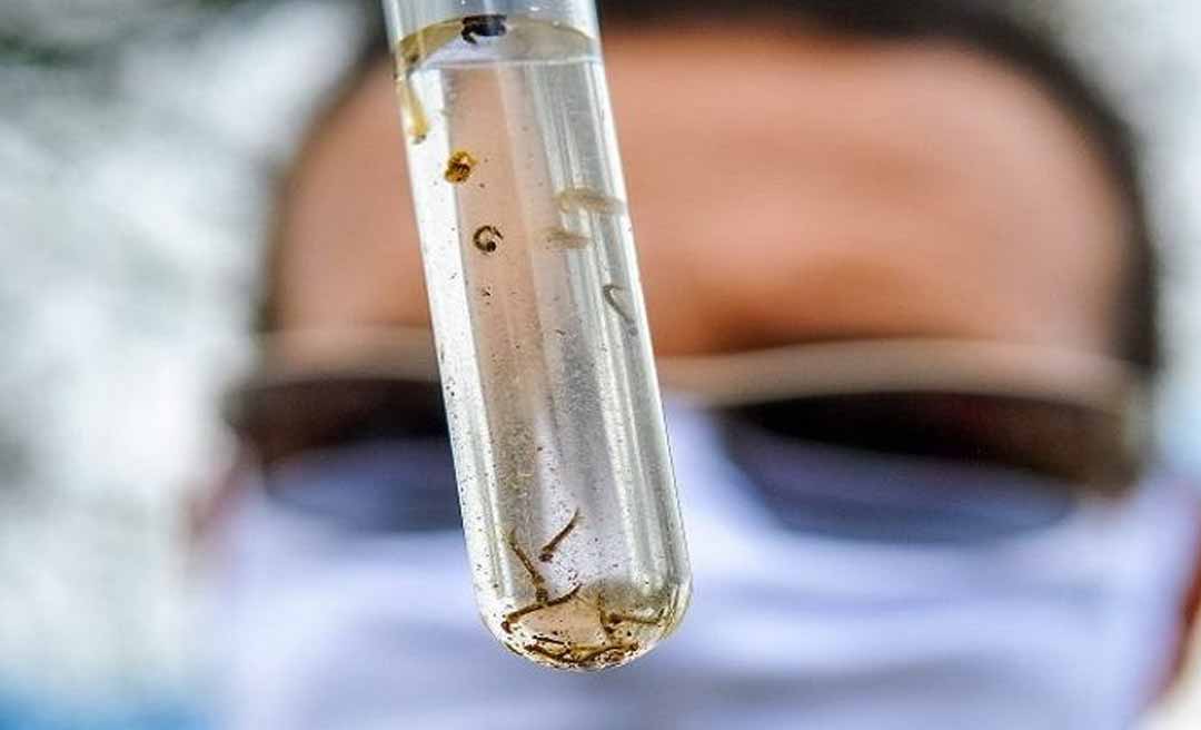 Mesmo com alta nacional, Acre deve reduzir casos de dengue em 2026, indica projeção nacional