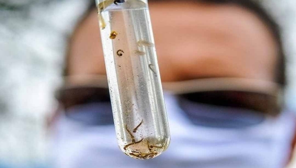 Mesmo com alta nacional, Acre deve reduzir casos de dengue em 2026, indica projeção nacional