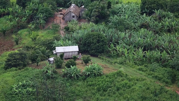 Projeto Acaraú, em Feijó e Tarauacá, vai assentar 122 famílias, decide presidente nacional do Incra