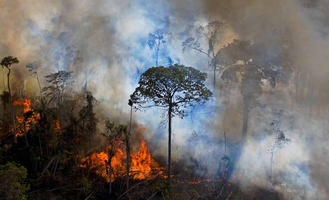 Alerta trinacional aponta risco de seca severa, calor extremo e queimadas na Amazônia Sul-Ocidental em 2026