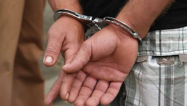 Nova lei endurece punições para receptação de animais e crimes contra serviços públicos