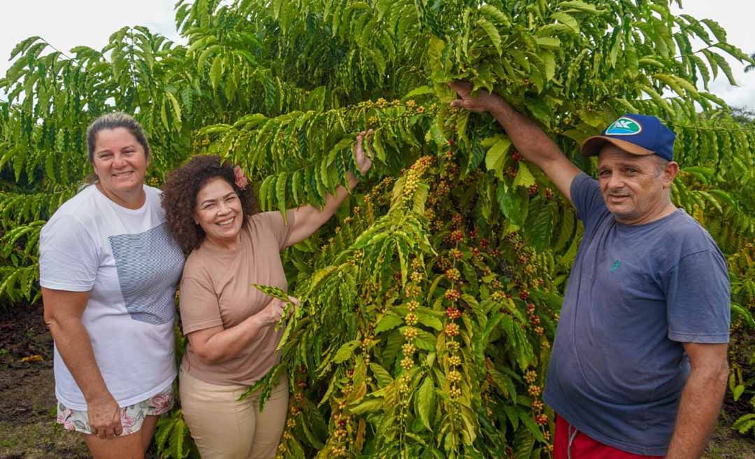 Perpétua anuncia inclusão do Acre nas Rotas de Desenvolvimento Regional com a criação da inédita "Rota do Café"