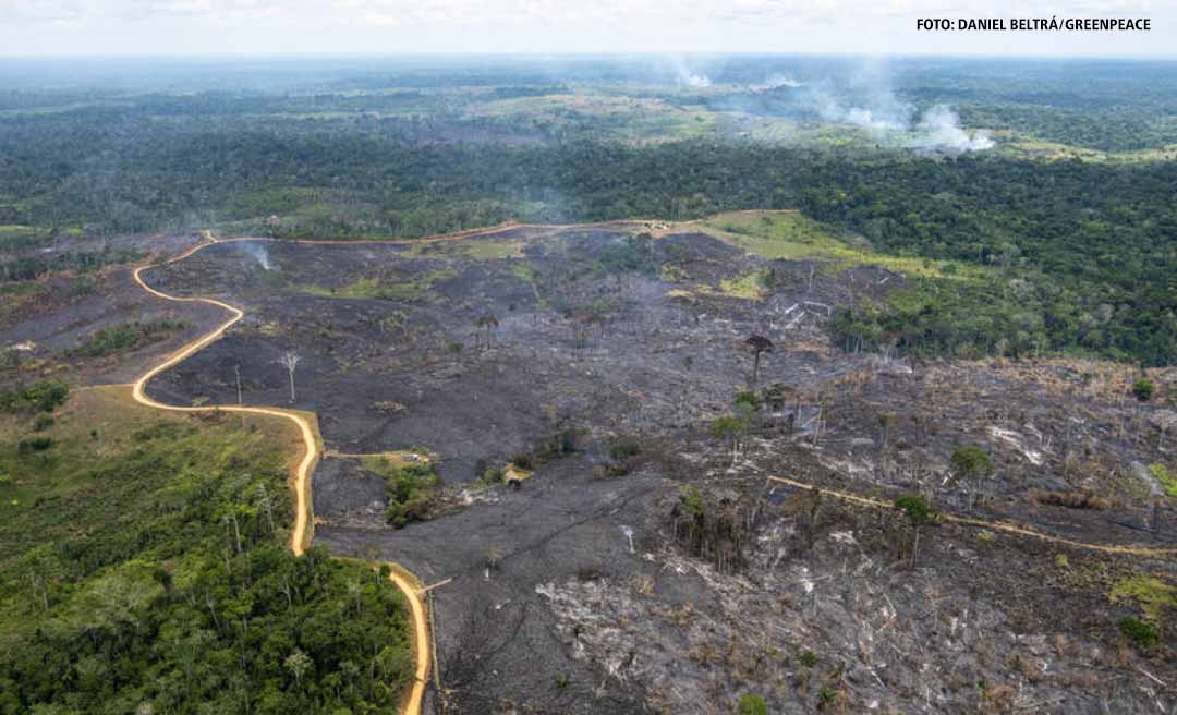 Duas cidades do Acre estão na lista dos 50 municípios que mais desmataram nos últimos 7 anos