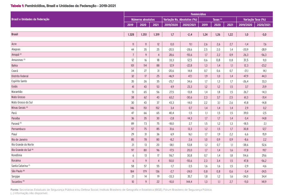 Dados_Feminicídios.jpeg