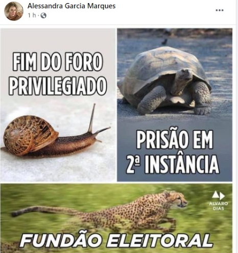 WhatsApp_Image_2021-07-19_at_21.45.37.jpeg