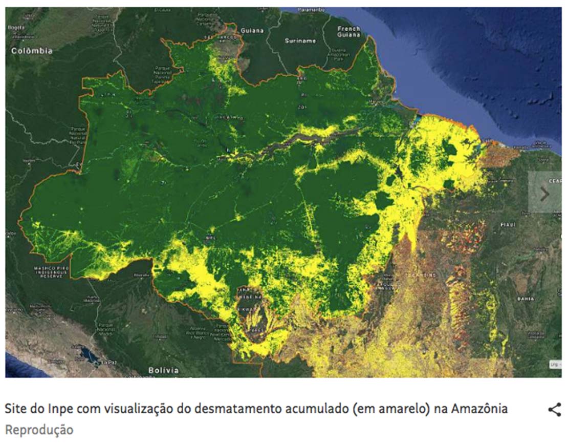 satelite web