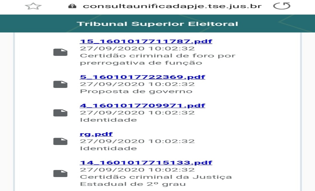TSE