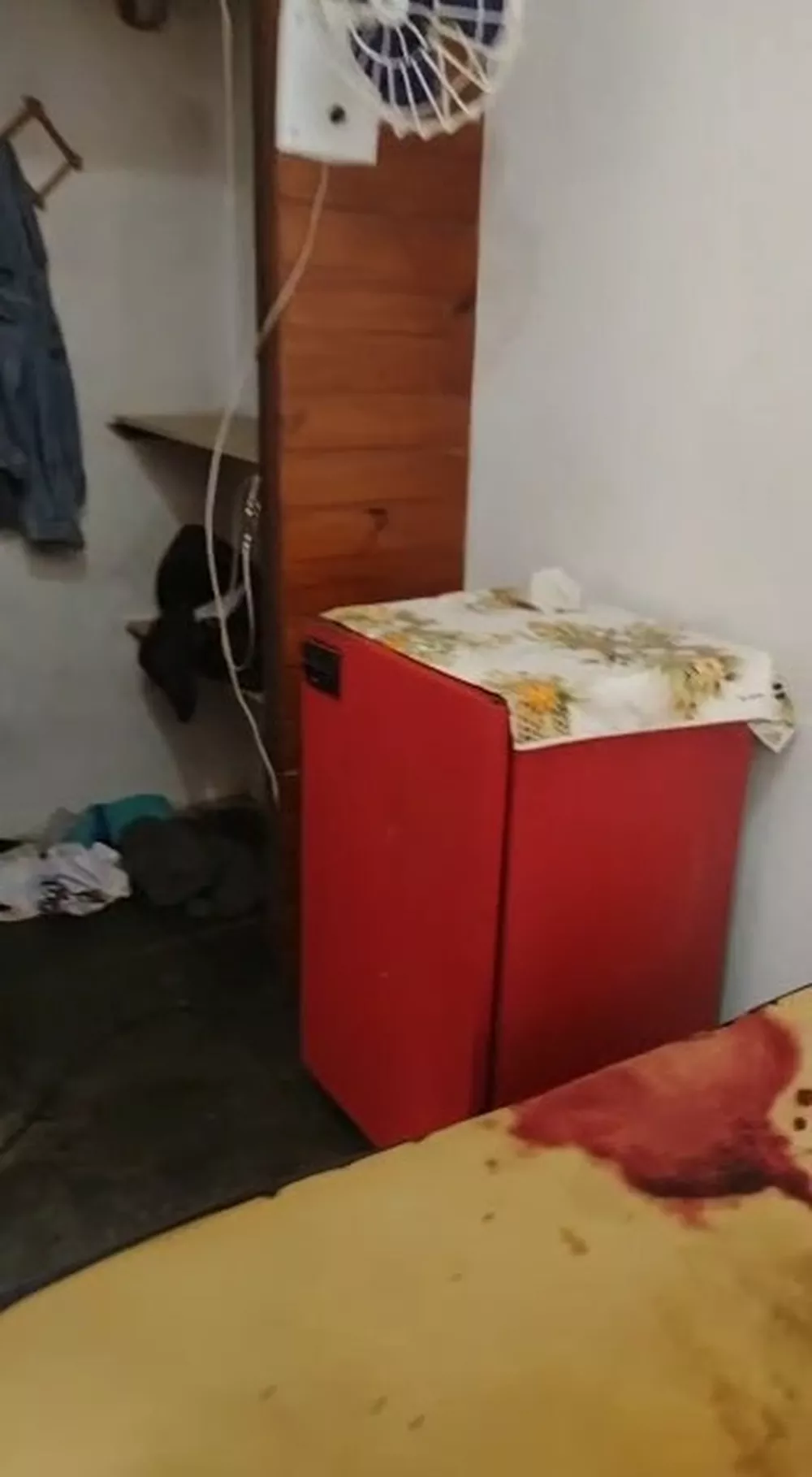 DECEPA2