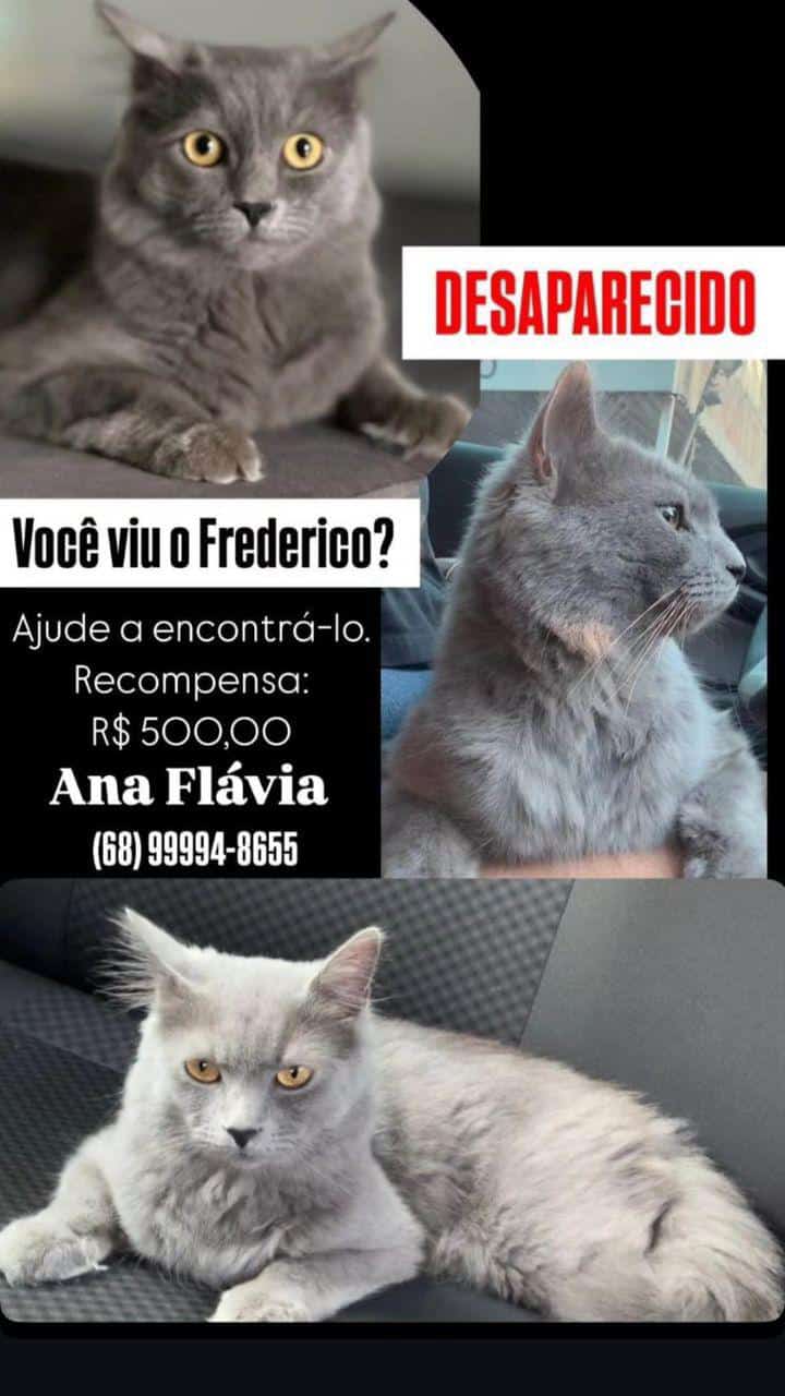 WhatsApp_Image_2024-09-24_at_18.42.47.jpeg
