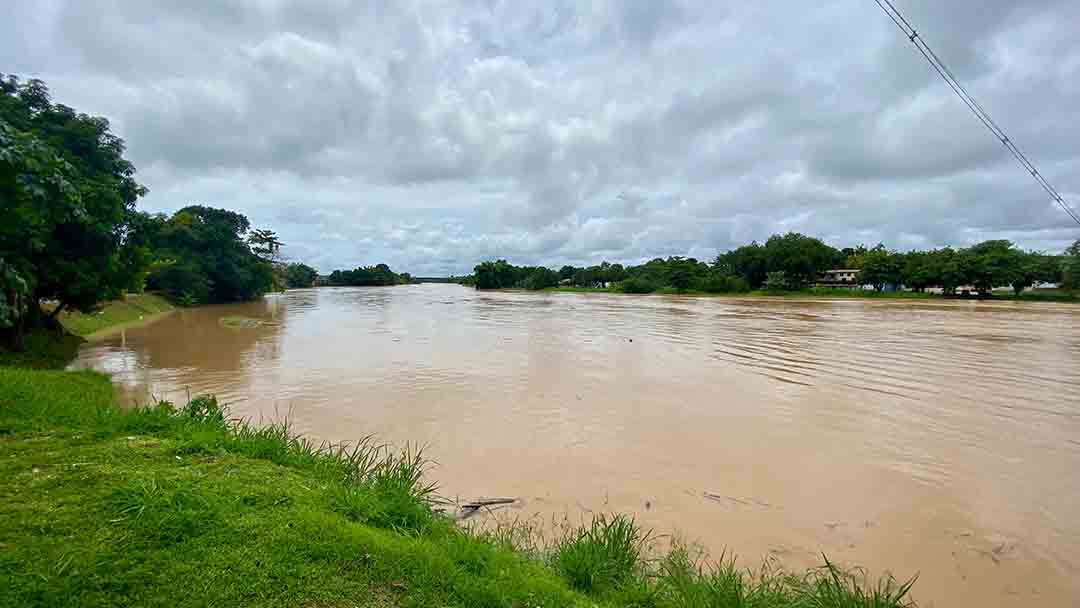 WhatsApp_Image_2025-03-19_at_08.51.20.jpeg