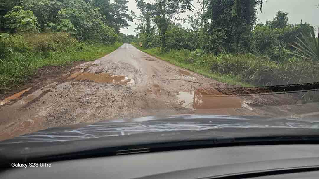 WhatsApp_Image_2025-04-29_at_09.55.41.jpeg
