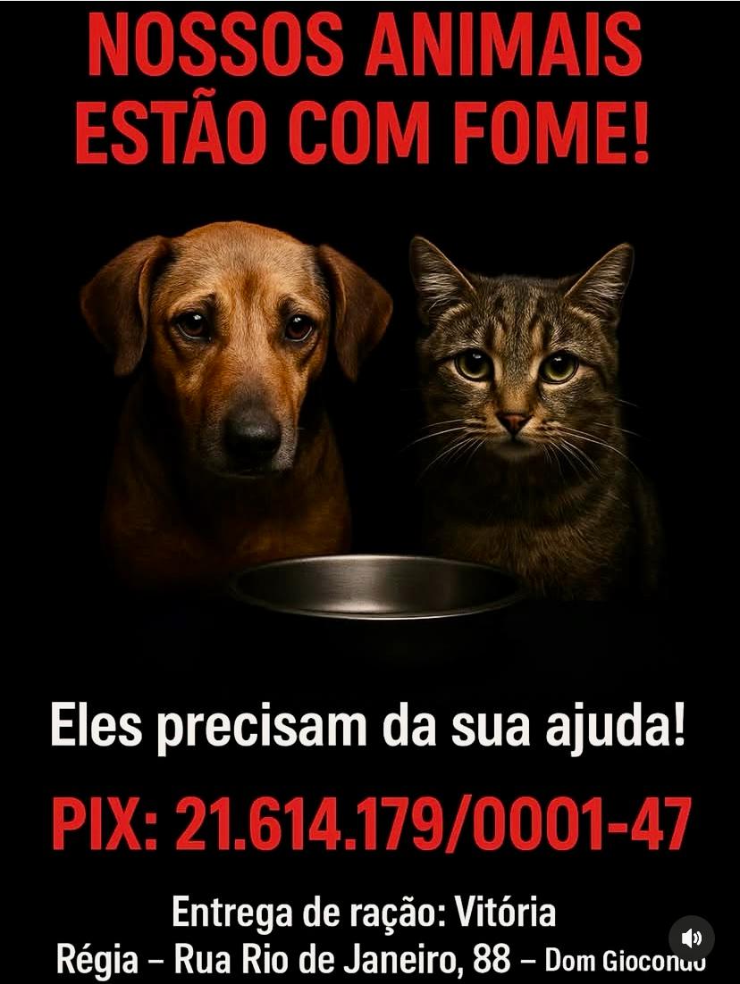 WhatsApp_Image_2025-09-25_at_13.13.49.jpeg