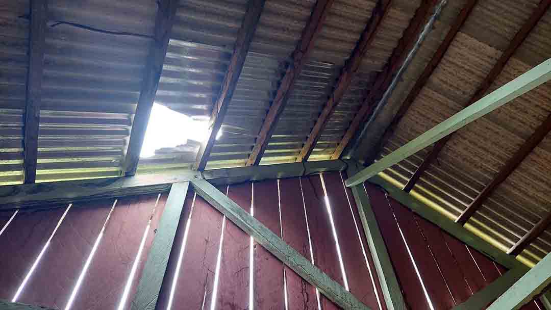 WhatsApp_Image_2025-11-22_at_07.45.03-2.jpeg