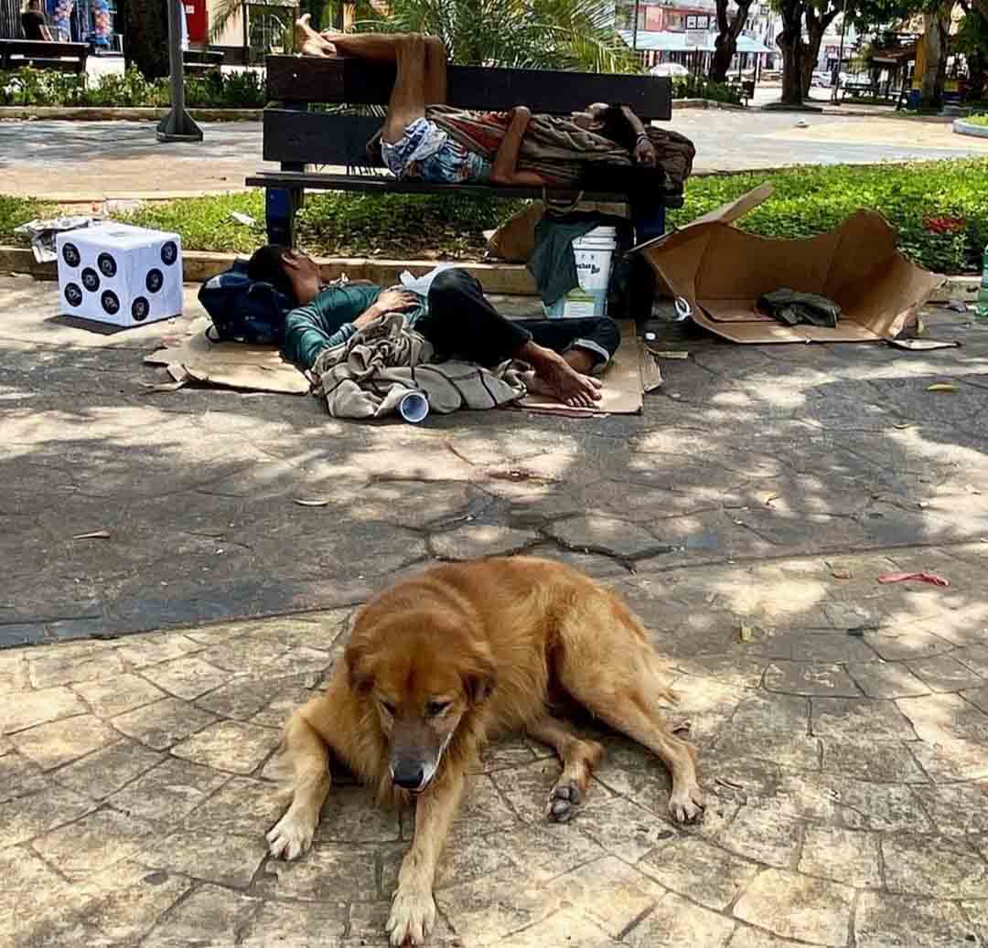 WhatsApp_Image_2025-12-28_at_11.06.22.jpeg