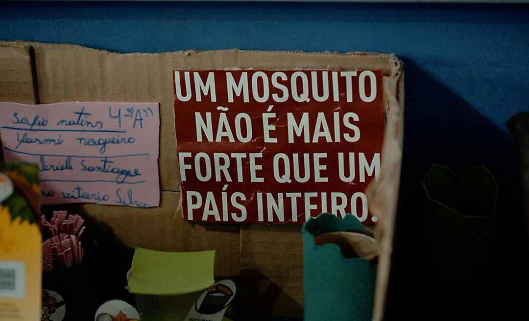 aedes 002