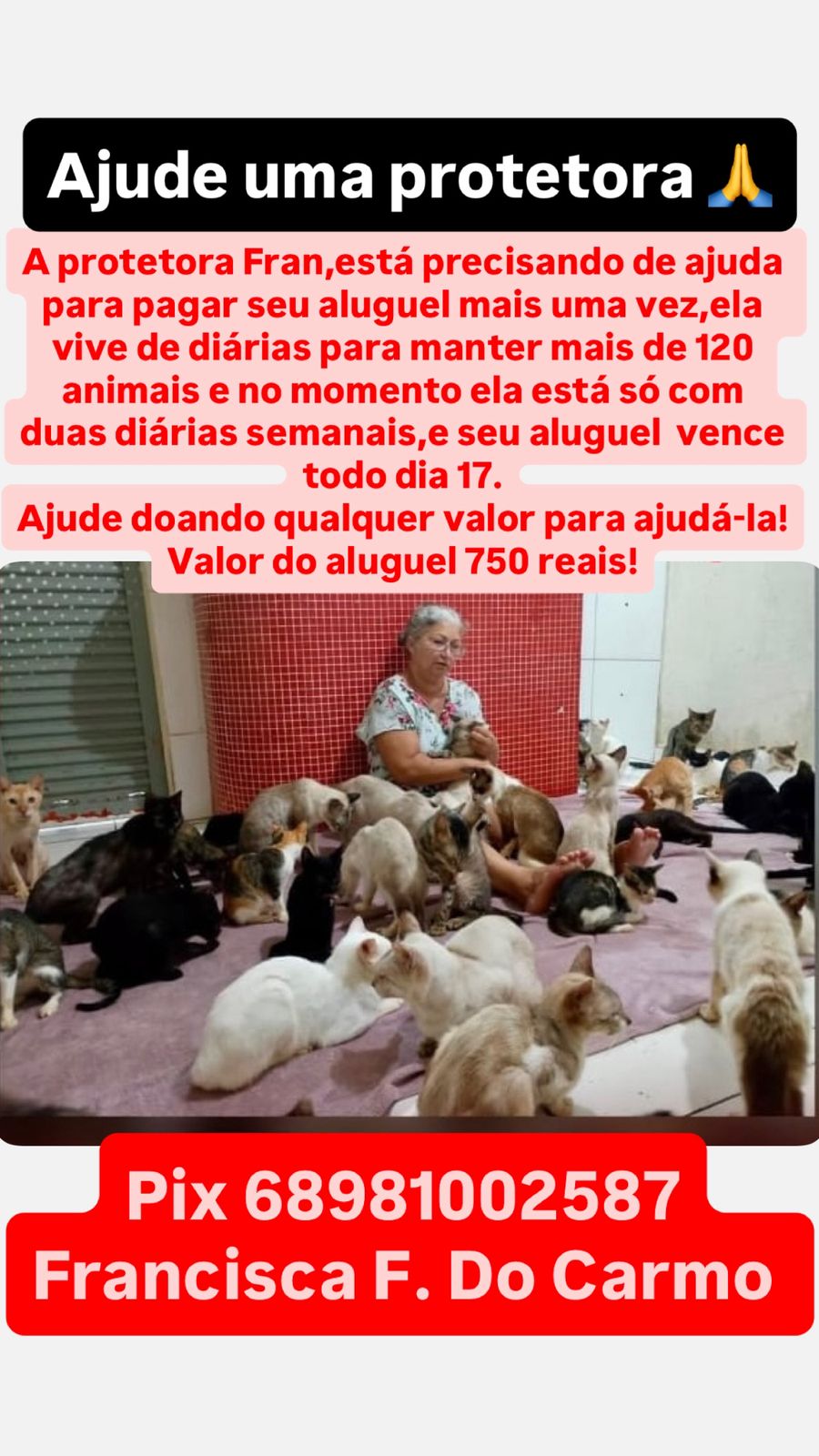 WhatsApp_Image_2026-01-18_at_16.37.31.jpeg